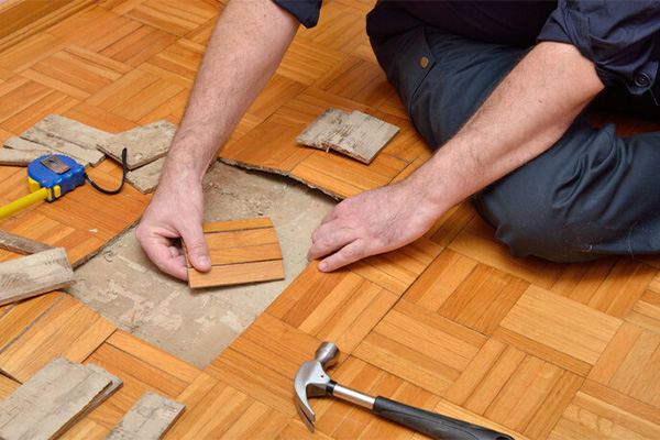 آيا پاركت موريانه ميزند؟ آيا پاركت موريانه ميزند؟